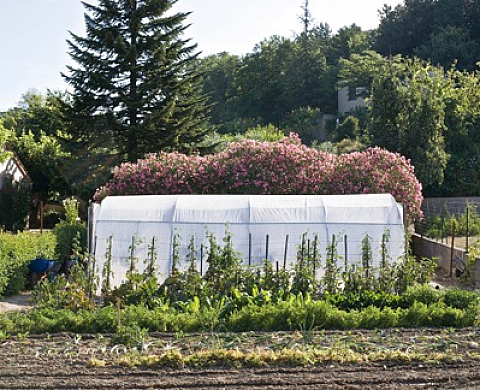 Alain Ceccaroli et son journal d'un paysage à la galerie Martagon