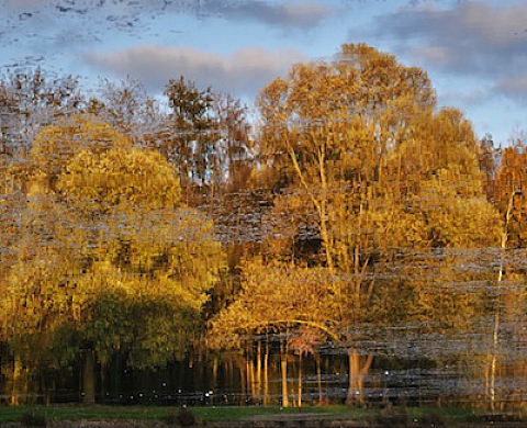 Réflexion sur le monde à travers l'eau, de Marco Cannas