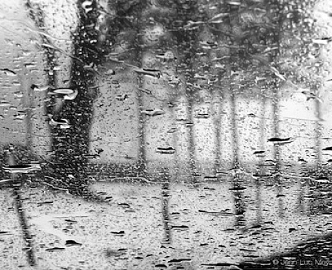 Retour sur le nouveau livre de Jean-Luc Meyssonnier