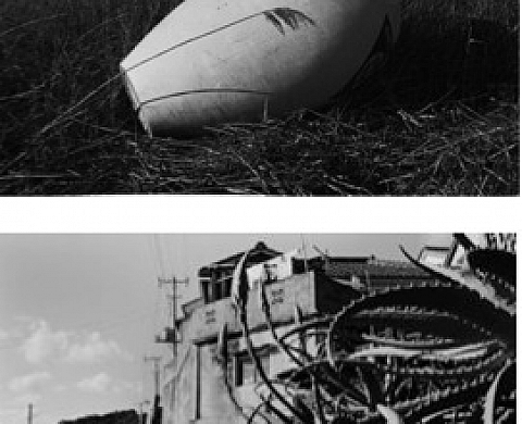 Les photographies de Kôji Onaka 