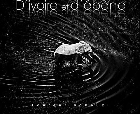 D'ivoire & d'ébène - Laurent Baheux D'ivoire & d'ébène - Laurent Baheux