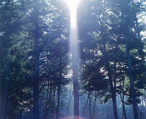 L'illuminance de Rinko Kawauchi à la Ilan Engel Gallery L'illuminance de Rinko Kawauchi à la Ilan Engel Gallery