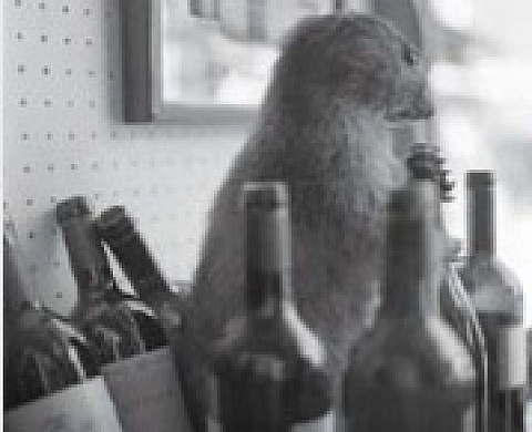 8eme rencontres du livre et de la photographie, par l'association Hélio