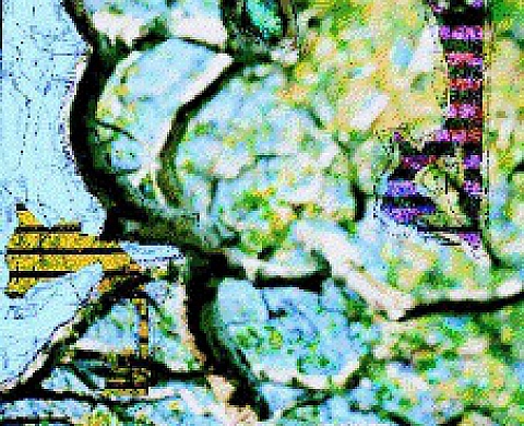 Exposition collective à la Galerie V