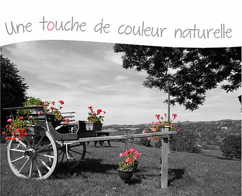 Une touche de couleur par Hervé Aparicio