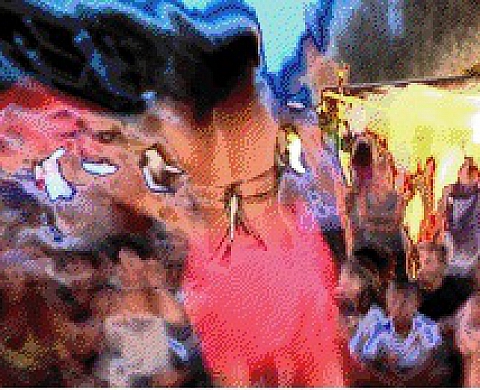 Alain Darré à Bruxelles pour 