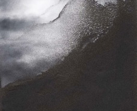 Jocelyne Alloucherie au MuMa du Havre