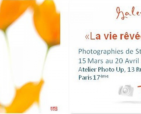 Stéphane Hette à l'Atelier Photo Up Stéphane Hette à l'Atelier Photo Up