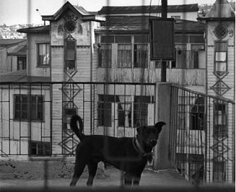 «L'art de voir les choses» à Camera Obsura, un retour aux sources ?