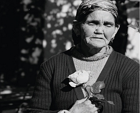 Destin de Harkis par Stephan Gladieu