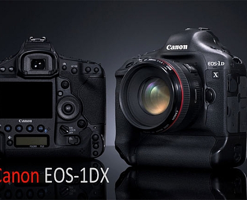 Le Canon 1D X