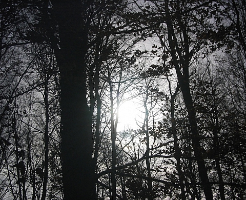 Vidéos À la croisées des chemins par la collection Neuflize Vie