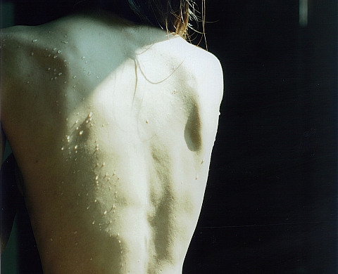  Natures, un dialogue métaphorique entre Yumiko Utsu et Mayumi Hosokura