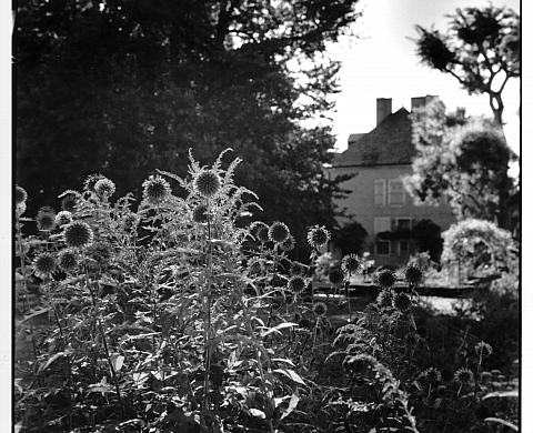 L'Association des Photographes Parisiens ouvre ses portes pour une 23e édition
