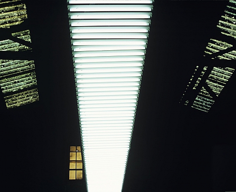 Joël Picard interroge une lumière qui éclaire la lumière