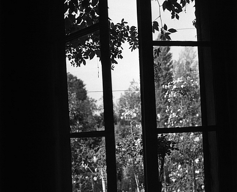 Bernard Plossu nous fait découvrir Monet intime