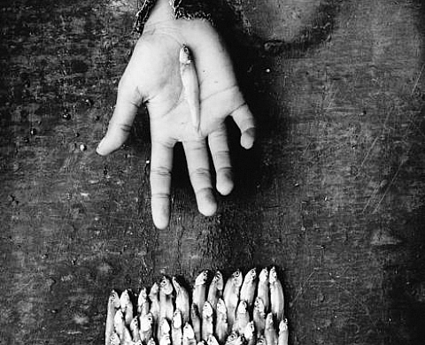 Trois expositions Dans le cadre de l'Été de la Photographie 2012, une initiative de Bozar