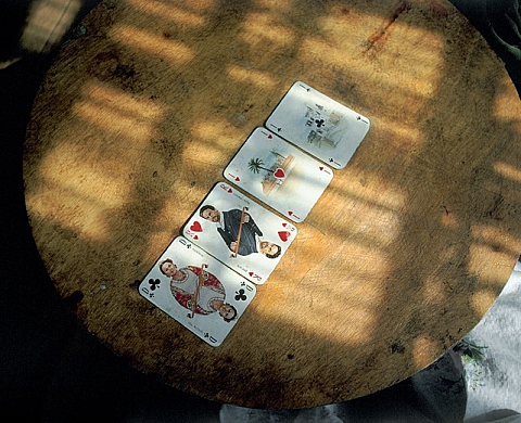 Rencontre avec Gérard Manset autour de ses Journées Ensoleillées