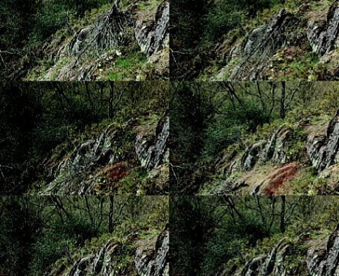 Lionel Pralus vous convie à 