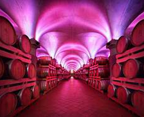 Rafael neff présente ses Famous wine cellars ou ses Célèbres caves à vin