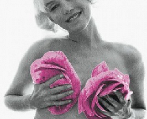 Marilyn vue par Bert Stern