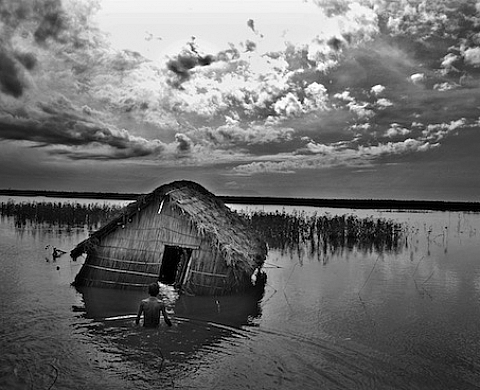 Le monde comme il bouge à La Brasserie