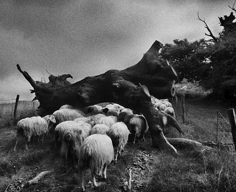 Gabrielle Duplantier et son regard sur le Pays Basque