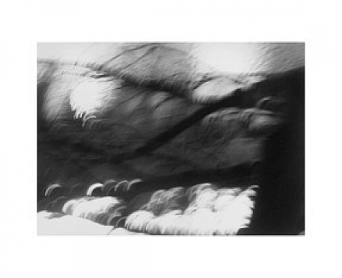 Charwei Tsai : « A Pilgrimage Through Light & Spells » Charwei Tsai : « A Pilgrimage Through Light & Spells »