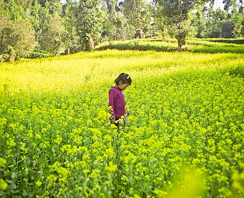 Alice Carfrae et ses « Tin girls » à la Focale - Association pour la photographie