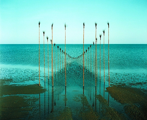 NIls-Udo expose sa «Nature (élément) »