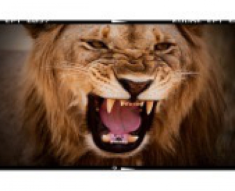 La grande migration en Afrique de Laurent Denis