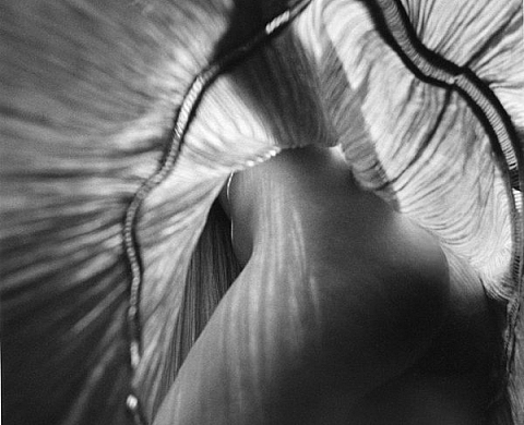 Kenneth van Sickle « Photo Recall »