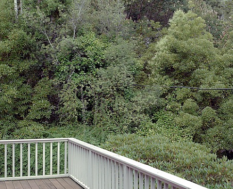 « House of Leaves » de Brandon Herman