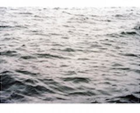 Ryan James MacFarland présente « Tide Study »