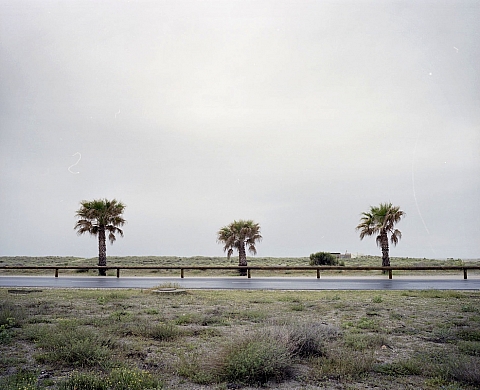 Le collectif Mon Oeil expose à « Cours & Jardins des Arts »