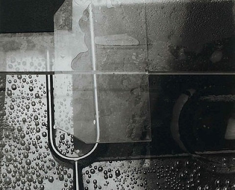 Boris Gaberscik expose « L'ordre des choses » chez Vu