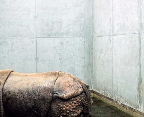 Prix HSBC pour la photographie 2012 : l'exposition itinérante continue à Metz