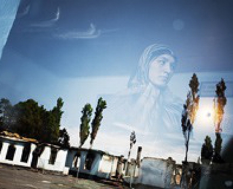 La galerie Fait et Cause présente « Faded tulips » de William Daniels