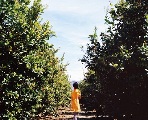 Exposition de l'été à la galerie Camera Obscura