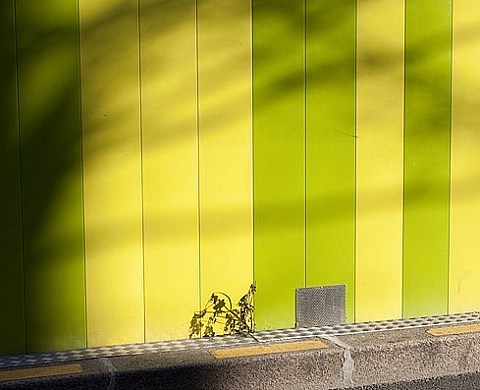 Ezio D'Agostino et Vanessa Fanuele sont à la galerie Lucie Weill & Seligmann