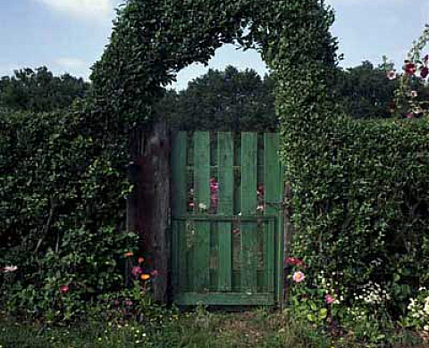 Laurence Nové-Josserand expose ses paysages empruntés
