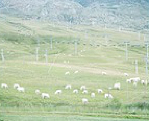 Mois de la photo 2012 : Walter Niedermayr expose à l'Institut Culturel Italien