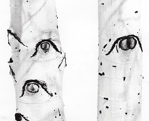 Mois de la photo 2012 : Exposition De Ferenc Berko à l'Institut Hongrois