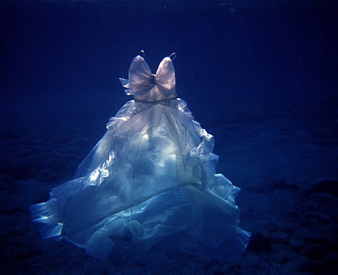 Mois de la Photo 2012 : Exposition de Marko Zink à la Galerie K