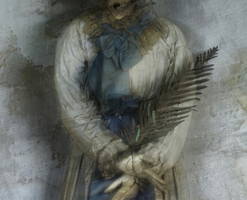 Mois de la Photo 2012 : exposition de Sophie Zénon à la galerie Thessa Hérold