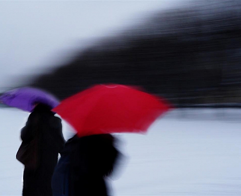 Exposition de Valérie Simonnet et Daniel Chenot à la Galerie art et sociétés