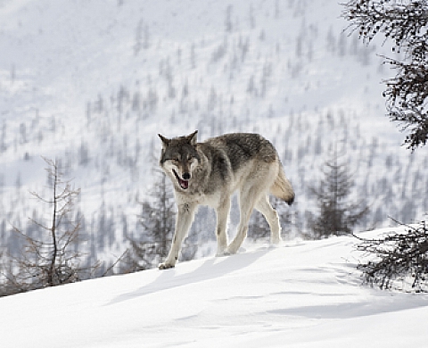 Exposition de Patrick Blin à la Galerie Blin plus Blin