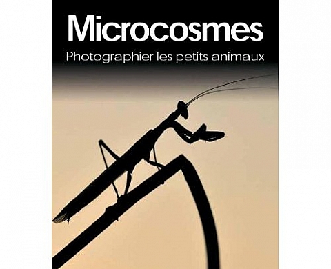 Microcosmes :Photographier les petits animaux Microcosmes :Photographier les petits animaux