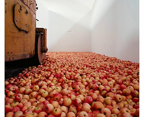 Le Centquatre présente son exposition collective « Par nature »