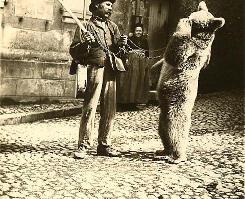 La Photographie: d'hier à aujourd'hui au Musée de Souvigny